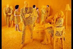 Sandy Skoglund