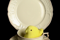 Rosenthal China with yellow peep
