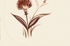 2021.140 Viktor Schreckengost original plate design with thistle